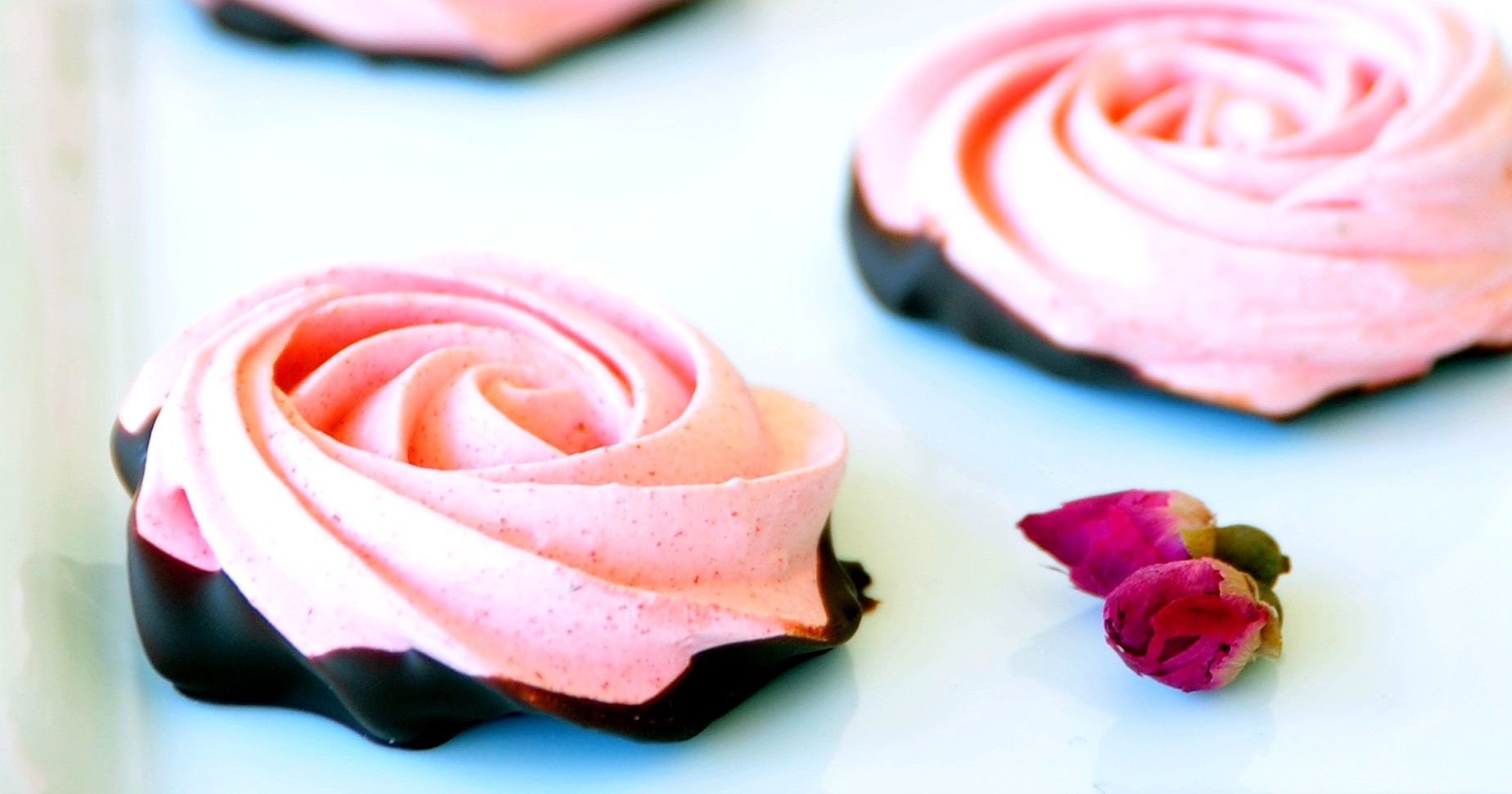 Cooking with Roses: Chocolate-dipped Rose Petals